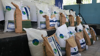 Honduras distribuye 100 mil paquetes agrícolas para impulsar la producción de frijol ante el riesgo de sequía