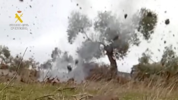 La Guardia Civil destruye dos