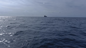 El tráfico por el estrecho de Ormuz aumenta con el paso de hasta 21 buques durante el fin de semana