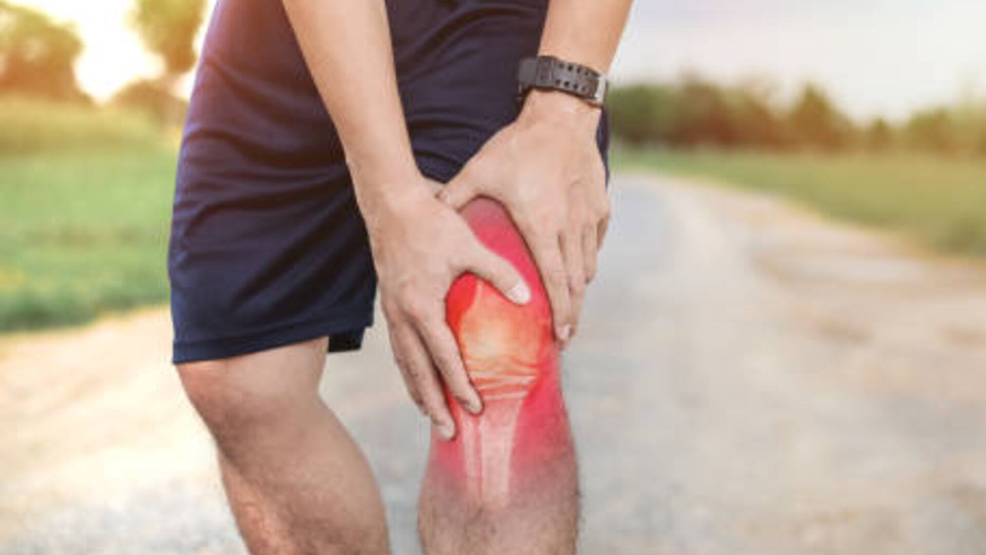 Hierba que ayuda con el dolor de rodilla. Foto: (iStock)