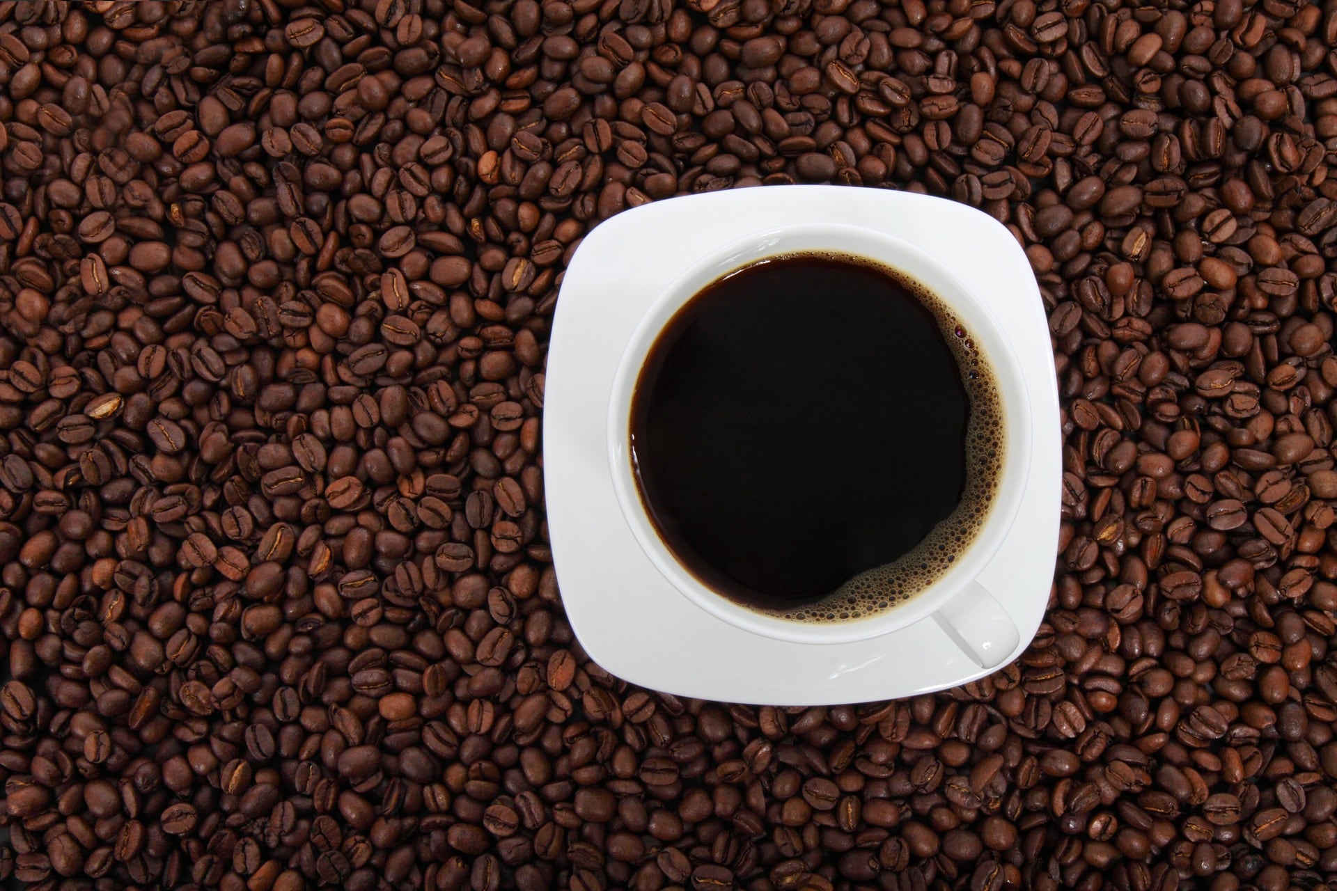 La reunión permitió compartir información sobre el café peruano y su cadena productiva, con el objetivo de impulsar nuevos vínculos comerciales. Foto: UPC