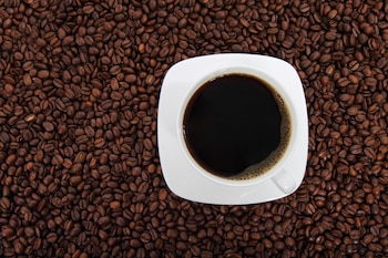 La reunión permitió compartir información sobre el café peruano y su cadena productiva, con el objetivo de impulsar nuevos vínculos comerciales.