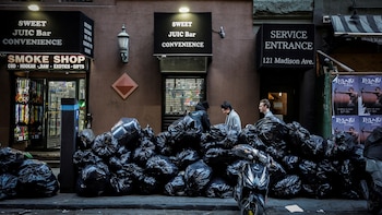 Nueva York multará con hasta USD 200 por este error común al sacar la basura