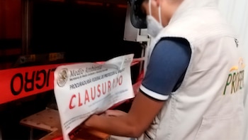La Profepa clausuró instalaciones de