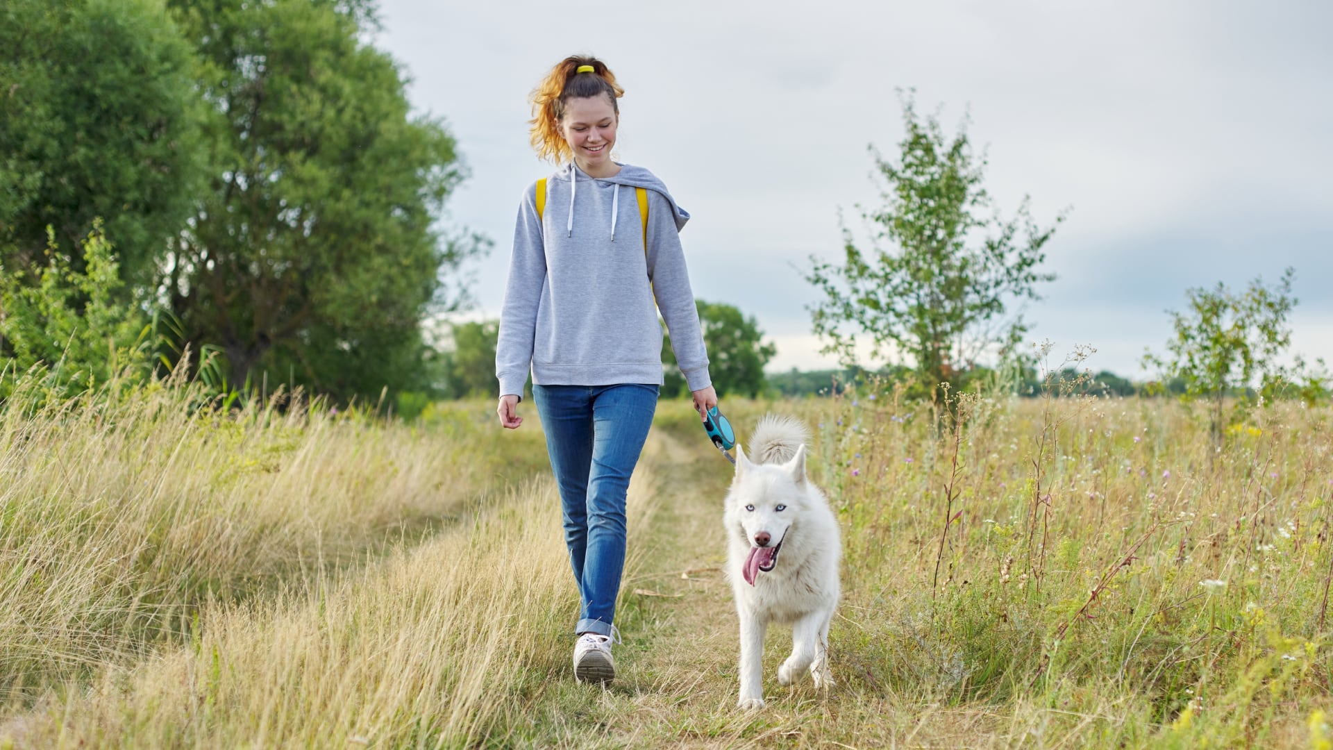 Para que el paseo funcione como ejercicio, el investigador recomendó sumar intervalos, pendientes y respiración rítmica, además de prevenir el golpe de calor en el perro con agua y horarios frescos (Canva)