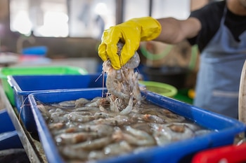 La logística debe coordinar flujos