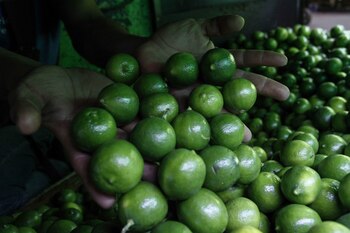 MÉXICO, D.F., 19MARZO2014.- En la