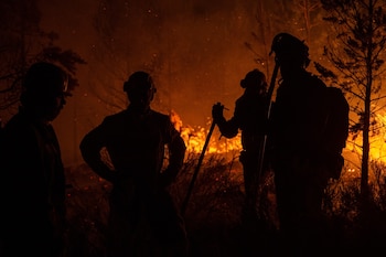Un grupo de bomberos forestales tratan de extinguir un fuego en Argayo, León, en 2025. (Lorena Sopêna / Europa Press)