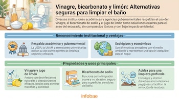 Infografía en un baño con vinagre, bicarbonato, limones. Muestra texto sobre alternativas de limpieza ecológica y respaldo de instituciones.