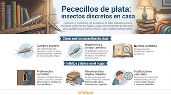Infografía con ilustraciones del pececillo de plata, libros dañados, una cerradura y texto explicativo junto al logotipo de Infobae.