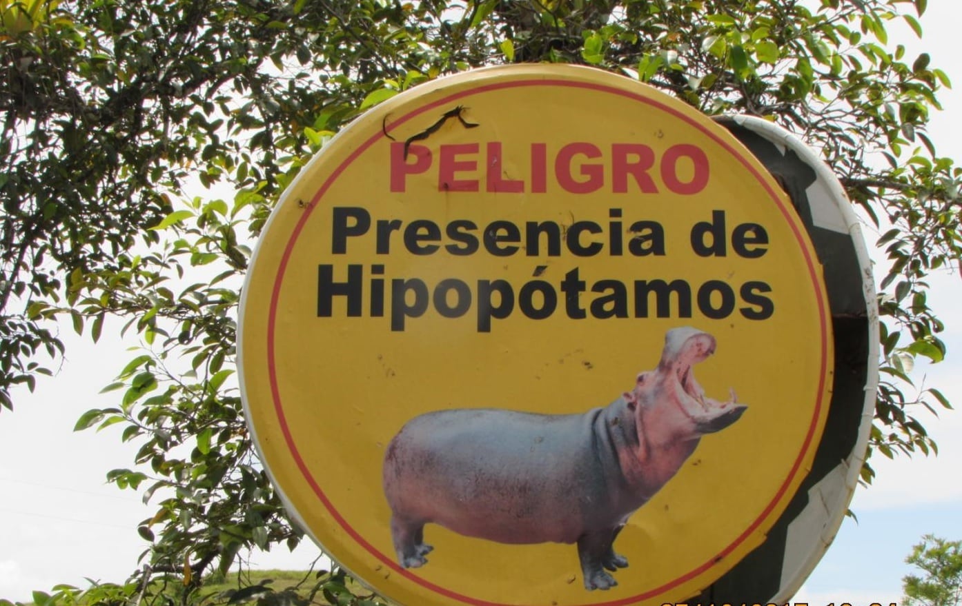 La orden judicial exigió en 48 horas señalización preventiva y un sistema de alerta temprana en puntos del río Nare como Puente de la Soná, Islitas, Canteras, Gaticos, La Pesca y La Coqueta - crédito Universidad de California, San Diego/Europa Press