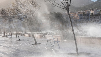 Vuelos cancelados, vientos de 160