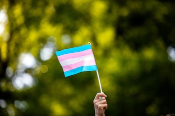 Los defensores de los derechos transgénero y de la comunidad LGBT+ en Florida argumentan que la legislación podría causar daño irreparable. (REUTERS/Demetrius Freeman)