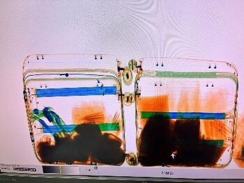 Un binomio canino detectó las