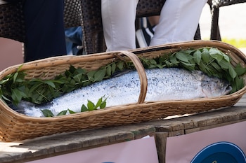 Subasta del primer salmón de la temporada, conocido como El Campanu, a 21 de mayo de 2026, en Cangas de Onís, Asturias (España). (Imanol Rimada/Europa Press)
