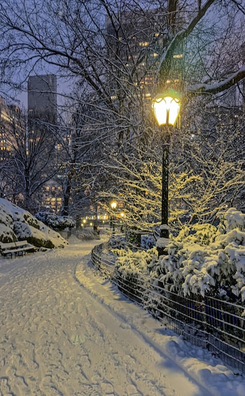 Un camino iluminado por farolas