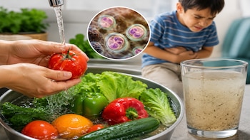 Qué es la ciclosporiasis y cómo evitar contagiarse en México por agua o alimentos contaminados