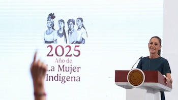 Sheinbaum niega investigación contra Harfuch
