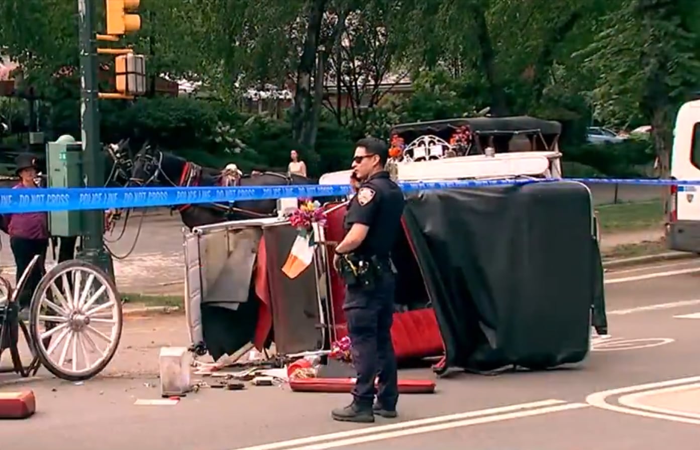El carruaje chocó con otro vehículo y volcó en West Drive, y Romanch Mahajan murió horas después en el Centro Médico NewYork-Presbyterian Weill Cornell (WABC)
