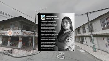 Asesinaron a funcionaria de Parques Nacionales Naturales en Cali: autoridades descartaron hurto