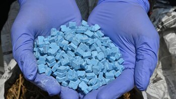 Manos enguantadas de azul sosteniendo una pila de pequeñas pastillas azules de forma irregular, algunas con inscripciones. El fondo está borroso