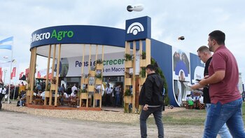 Las plataformas online simplifican la