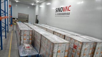 Este domingo llegarán a Colombia