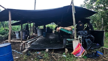 La labor conjunta entre Ejército