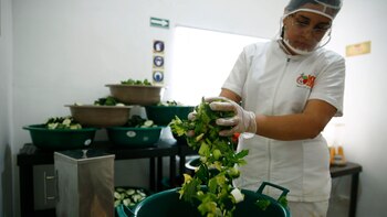 Proyecto que fomenta la inclusión