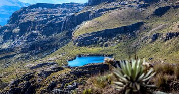 La agricultura es la principal