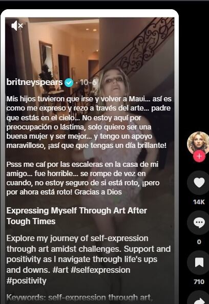 Britney Spears publicó varios post para sus hijos antes de eliminar su cuenta de Instagram. (TikTok/Britney Spears)