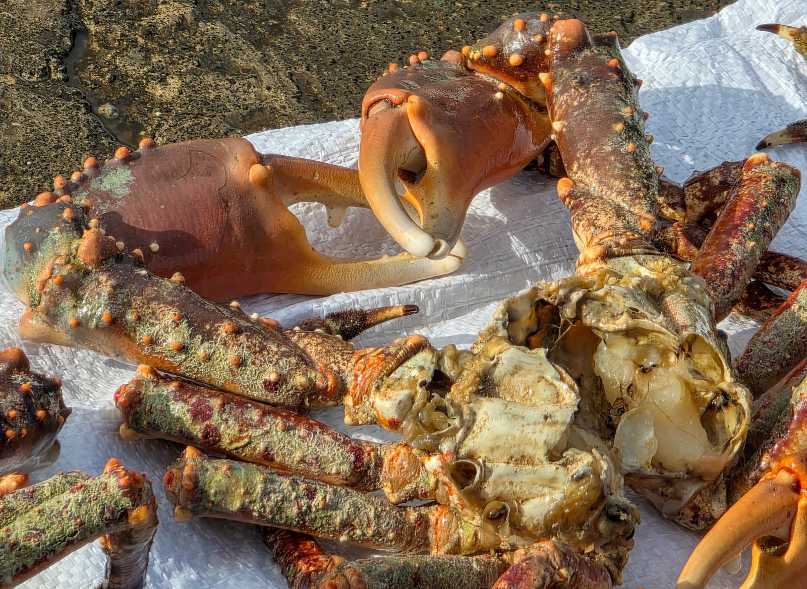 - crédito prensa Armada de Colombia