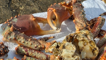 - crédito prensa Armada de