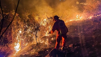 Incendios de maleza aumentan 160% en El Salvador durante vacaciones agostinas por quemas y sequía
