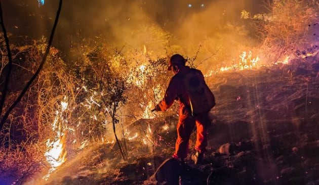 Incendios de maleza aumentan 160% en El Salvador durante vacaciones agostinas por quemas y sequía