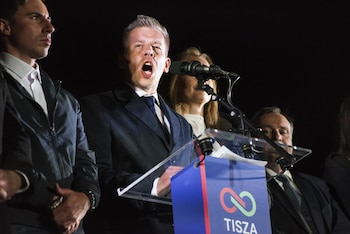 Imagen KAKQ7L446VDFHG6PNMCIG3HIF4