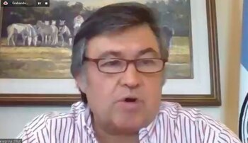 Daniel Pelegrina, durante el zoom