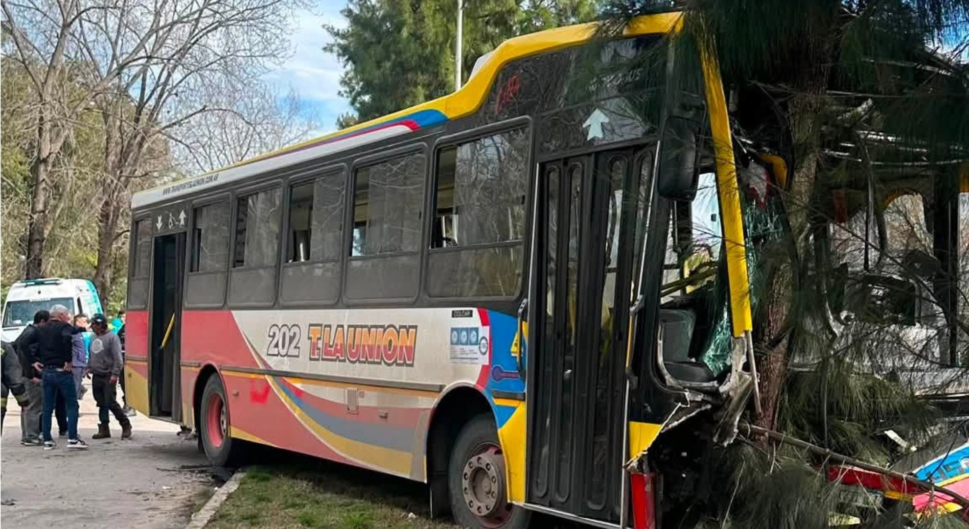 Así quedó el frente del colectivo, tras haberse chocado contra un árbol (Bomberos Voluntarios Berisso)