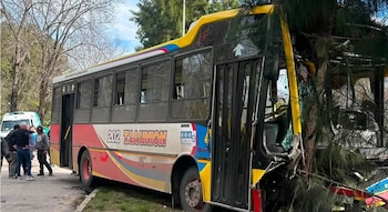 Así quedó el frente del colectivo, tras haberse chocado contra un árbol (Bomberos Voluntarios Berisso)