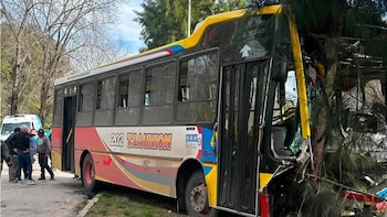 Un colectivo se estrelló contra un árbol tras un choque con un auto en Berisso y hubo más de 20 heridos