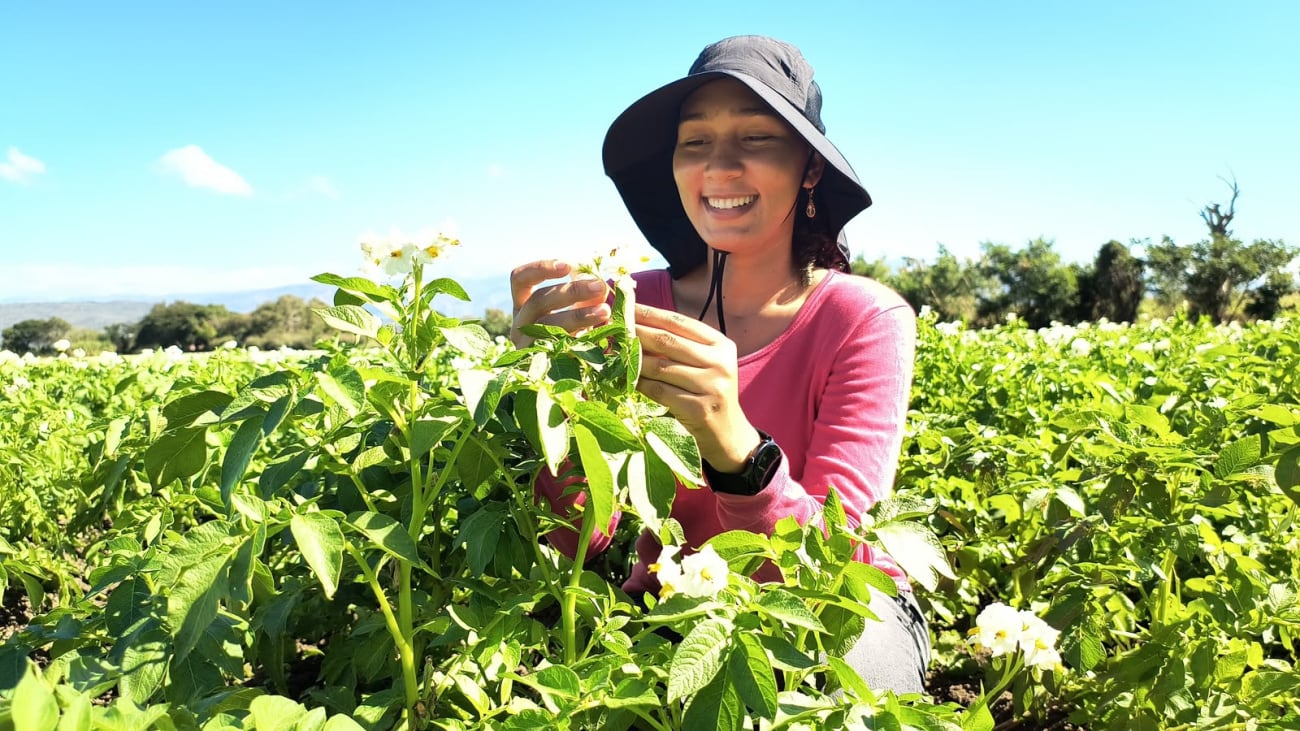 El Ministerio de Agricultura de República Dominicana capacitó a más de 4,700 mujeres rurales entre enero y septiembre de 2026. (Foto cortesía República Dominicana)