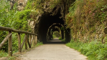 La ruta del interior de Asturias para reconectar con la naturaleza: una triple cascada de 100 metros y paisajes únicos