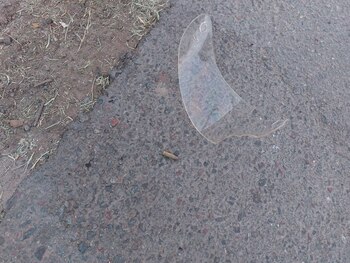 Los peritos de la Policía