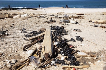 Las playas fueron cerradas para