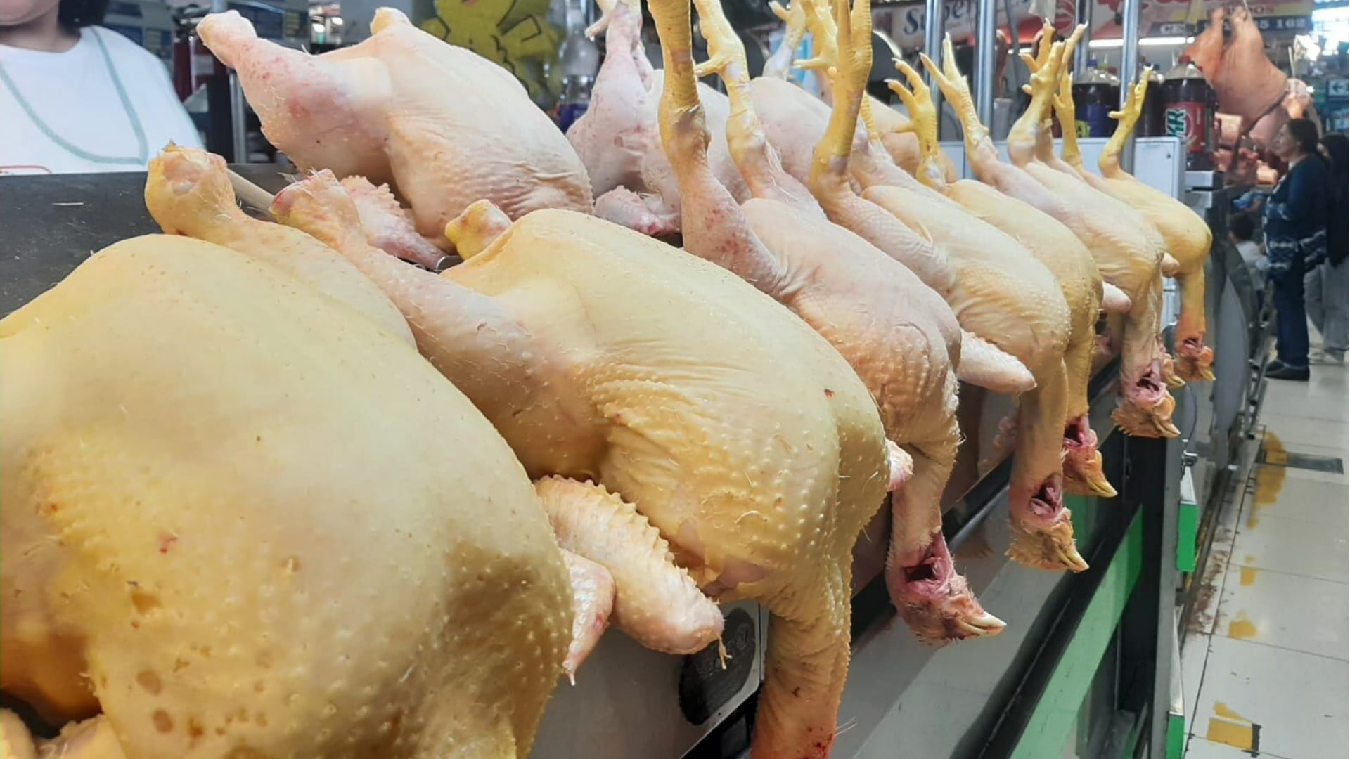 Perú concreta su primera exportación de aves. (Foto: SENASA)
