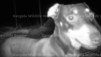 Valerie captada por las cámaras