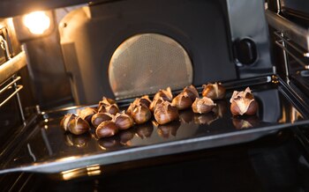 ILUSTRACIÓN - En el valle