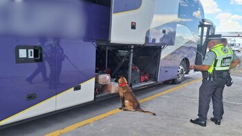 Un binomio canino revisó el