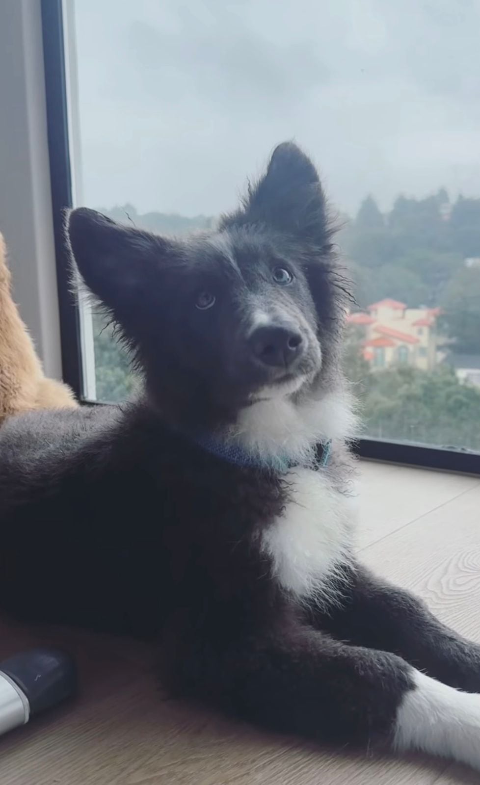 Mila era amiga de Nala. No se sabe de ella, pero no fue una de las víctimas de Diego Sebastián (redes sociales)