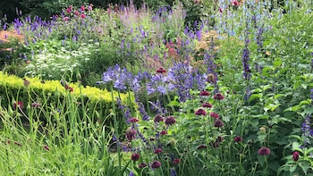 La paisajista planteó que el
